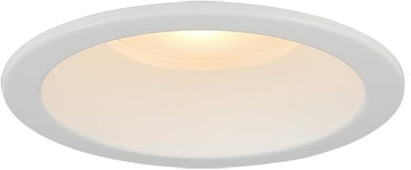 ホタルクス LEDダウンライト 100φ 電球色