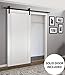 Sliding Barn Door 30 x 80 with Hardware | Quadro 4111 White Ash | Top Mount 6.6FT Rail Hangers Sturdy Set | Modern Solid Panel Interior Doors