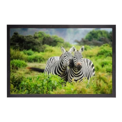 Paillasson zèbres imprimé haute définition verdure tropicale dimensions compactes 60x40cm - 2