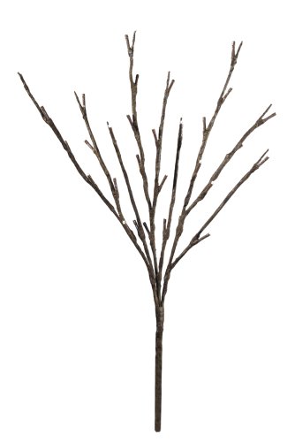 Hi-Line Gift LtdFloral Lights Lighted Willow Branch with 30 bulbs, 20 inches (Battery operated)