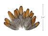 Moonlight Feather | 1 Dozen - Golden Brown Whiting Farms Laced Hen Saddle Feathers Fly Tying Craft Halloween Supply #1