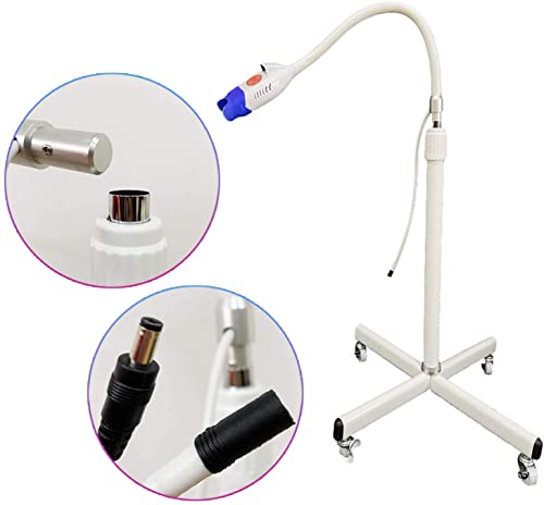 Pevor Dental Teeth Whitening Light Teeth Whitening Machine Led Light 2 Color Teeth Whitener Bleaching 10 Led Light Lamp Led Teeth Whitening Led Accelerator Light #TOP5