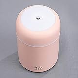 300 ml Fassungsvermögen, zwei Strahlarten, einfach, die Menge des Nebels durch einen Knopf, Schalter zwischen kontinuierlichen Sprüh- und intermittierenden Spray mit einem Schlüssel zu justieren