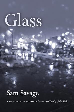 Glass book cover