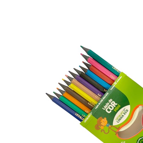 24 Caixas de Lápis 12 Cores Mini Sextavado Eco Ponta Resistente Atóxico Escolar