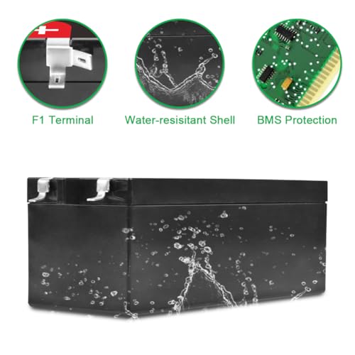 TalentCell 24V 4Ah LiFePO4-Akku, 96Wh Deep Cycle Wiederaufladbar Lithium-Eisenphosphat-Batterie für Trolling Motor, RV, Toy Car, Camping, Solar System, DIY Project