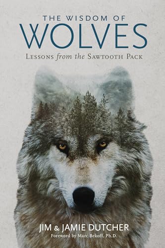 The Wisdom of Wolves: Lessons from the Sawtooth Pack