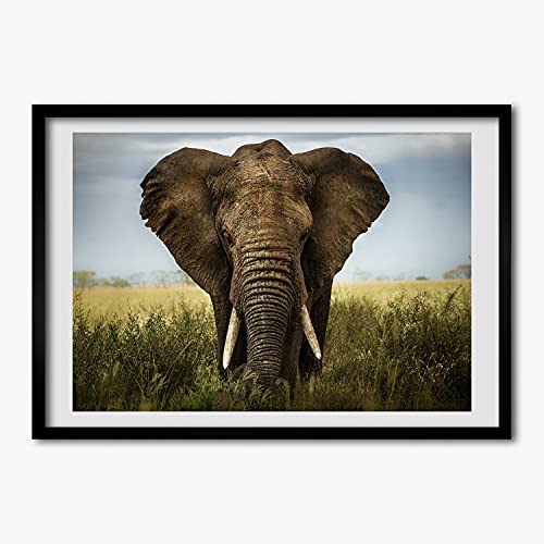 Cadre en bois peinture moderne Tulup 70x50 cm, affiche haut de gamme Słoń Dans La Savane