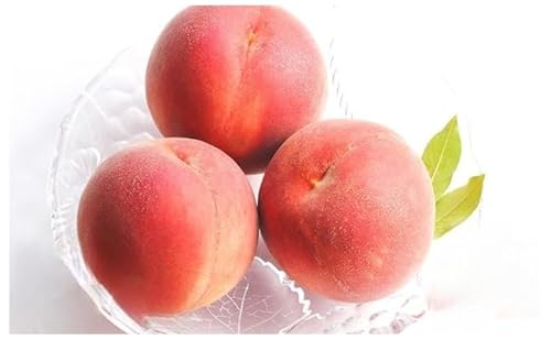 先行予約 2026年発送 浅間水蜜桃 もも なつっこ 秀品 約5kg ふるさと納税 長野県産 小諸市 桃 果物 もも フルーツ モモ 果肉