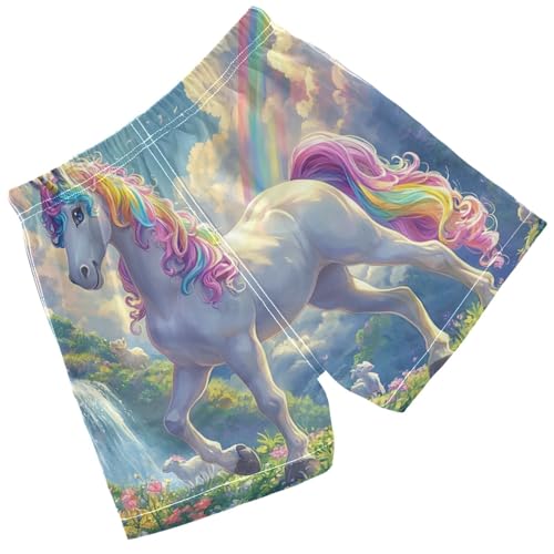 Pigsaly Boys Swim Trunks Unicorn Rainbow Cloud Boys Board Shorts Swimsuit Swimwear Summer Bathing Suit 5T2