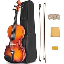 Acoustic Violin, 4/4 Full Size Solidwood Starter Violin Fiddle Kit for Beginners Students Adults, Violin Case, 2 Bows, Bridge- Stringed Musical Instruments