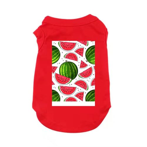 [XANPYO] ybg  tVc Ȑ Ȃ ʋC t H _炩 Vc L  킢 ^ ^ hbOEFA ^ xXg tėp ėp XXL  Eѕی ƒ U tH~ h~