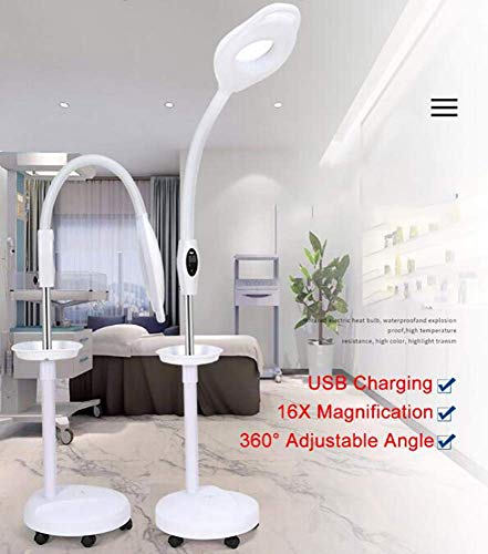 Lupa, lámpara de pie LED con Lupa, Lupa Brillante de luz Diurna, Lente de Aumento de 16X con Soporte, Altura Flexible, Cuello de Cisne Ajustable, luz fría de pie para Lectura (A)