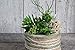 ''HANDMADE''Faux succulents and greenery arrangement, Artificials greens plants & succulents in wood log, Single wood cedar log centerpiece decor, Wooden desk decor, Mini centerpiece