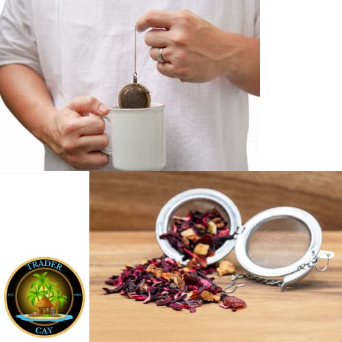 Earl Grey Tea Loose Leaf Infuser Scoop Bundle - Davidson's Organic Loose Leaf Tea 16 Oz Bag Stainless Steel Tea Infuser Stainless Steel Spoon With A Built In Reusable Stainless Steel Storage Bag Clip #TOP7
