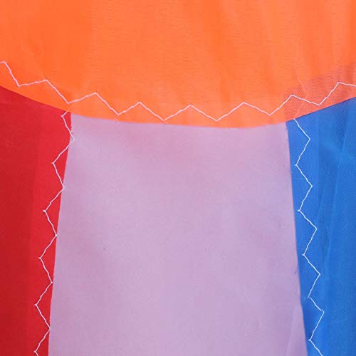 Shuohu Cute Carp Fish Kite for Kids Adults,Windsock Direction Flag Outdoor Flying Game Accessory - Random Color