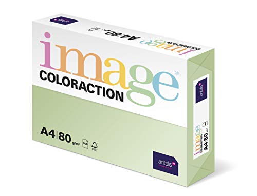 Papier A4 vert pâle 160g Image Coloraction pour classement clair