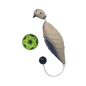 Dead Bird Dummy Bumper for Hunting Dog Training EVA Foam Dog Toy Decoys for Outdoor Training Waterfowl Retriever (Training Ball Included)