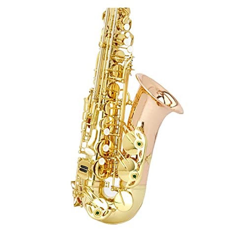 E-Flat Phosphor Bronze Alto Saxophone S҂vĈɓKĂ܂ l S҃TbNX(J[: 3)