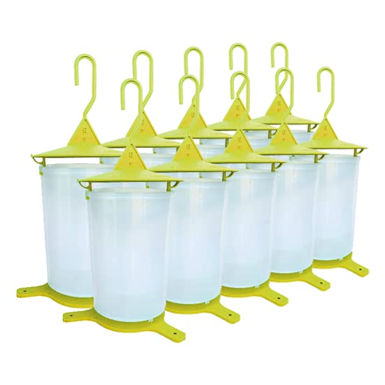 Pack de 10 trampa para moscas de fruta, moscas de cereza y moscas de olivo, ecológico y económico, para colgar y colocar