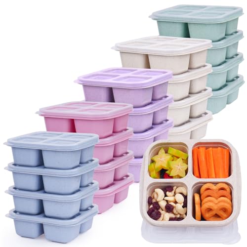 LCHLZZ 20 Pack Snack Containers, 4 Compartments Reusable Meal Prep Lunch Containers, BPA Free Bento Snack Box, Divided Food Storage Containers for Travel, Picnic, Microwave and Dishwasher Safe
