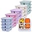 20 Pack-Purple-4 Compartments