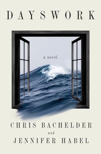 DAYSWORK: A Novel view 2