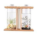 betta splendens temperatura Kit per acquario da scrivania: il serbatoio ecologico può sollevare un piccolo numero di piccole piante idroponiche per generare ossigeno, che è utile per l'ambiente di allevamento dei pesci. Mettere due piccoli pesci può aggiungere un sacco di divertimento, che è molto adatto per posizionare sul tavolo o sulla scrivania.