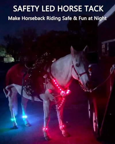 Collier de poitrine LED et bande de jambe de cheval à LED haut de gamme - 3