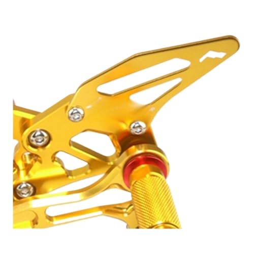 Repose-pieds arrière moto GSXR1000 2006 anti-glisse pour passager duo