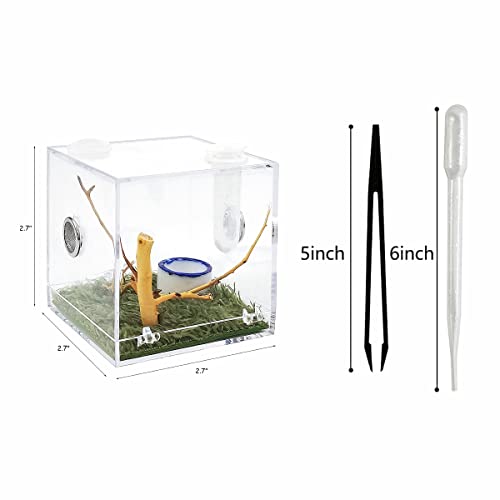 AWXZOM Spider Terrarium, Acrylic Reptile Breeding Box Jumping Spider Enclosure with Dropper Tongs Snail cage, Cricket Enclosure arboreal Tarantula Habitat - Thumbnail 2