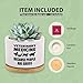 Veterinary Medicine Because People Are Gross Veterinarian Gifts Ceramic Succulent Plant Pot with Bamboo Tray Round Gift To Vet Animal Doctor Pet Lover Home Decor Plant Lover 3.5 Inch White (No Plants)