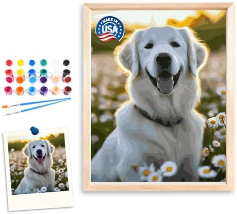 Amazon.com: Paint by Numbers Kit for Adults Photo Custom Paint by ...