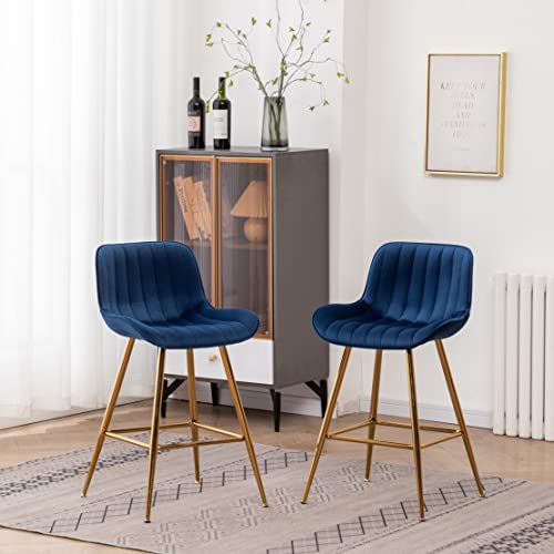 Sidanli 24 Inch Bar Stools, Gold Bar Stools Set of 2, Blue