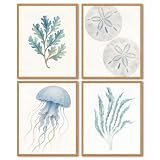 FGFK Blue Coastal Beach Ocean Life Wall Art Prints Set of 4, Watercolor Nautical Seaweed Sand Dollar Jellyfish Marine Life Posters Pictures Wall Decor for Home Bedroom Bathroom, 8x10 Unframed