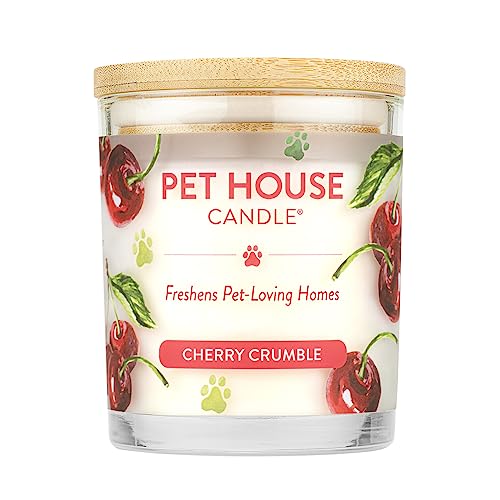 Soy Candle for Pet Odors