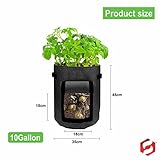 SUL Potato Grow Bag 10 Gallon Non-woven Fabrics Plant Growing Vegetable Bags for Vegetables, Potato, Tomatoes, Fruits, Carrot, Garden Soil Bag -Black 2pk - Image 4
