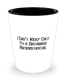 Sarcasm Database administrator Shot Glass, I Can't Keep Calm I'm a Database, Fun Ceramic Cup For Coworkers From Friends