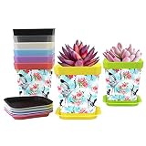 Haz tu propio jardín: saca la belleza de tus queridas plantas y flores, ya sea que estén tumbadas o colgadas. Ideal para decorar el alféizar de la ventana, escritorio, estante, balcón, sala de estar, cocina, jardín, oficina, etc.