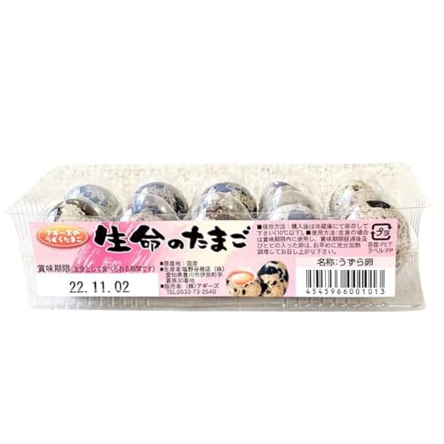 []yHpzLY ̗ ̐ 10 PpbNi10j×P