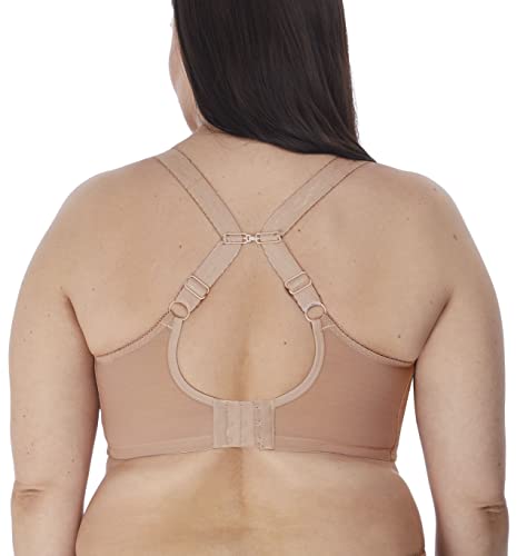 Image of Elomi Women's Charley Stretch Plunge Bra: Stretch Lace & Mesh, Racerback Option. Low Plunge UK Sizes D-JJ, US Sizes D-N