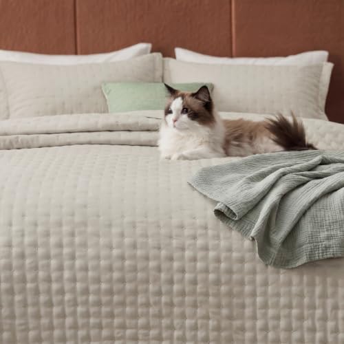 Image of Bedsure Quilts Queen Size - Linen Bedspread Queen Size & Lightweight Comforter, Modern Farmhouse Coverlet with Clover Pattern, Ultra Soft All-Season Bedding, 90 x 96 Inches