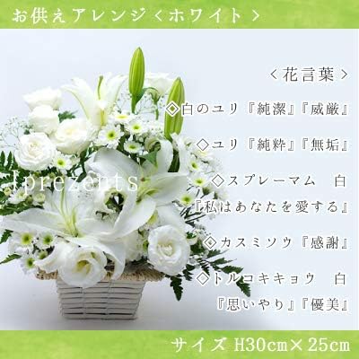 人気ブランド お供えアレンジ メモリーレオ フラワーギフト アレンジ お供え お悔やみ お彼岸 命日 法要 御仏前 御霊前 ユリ トルコキキョウ カー クーポン配布中 交換無料 Deutschonline Uz