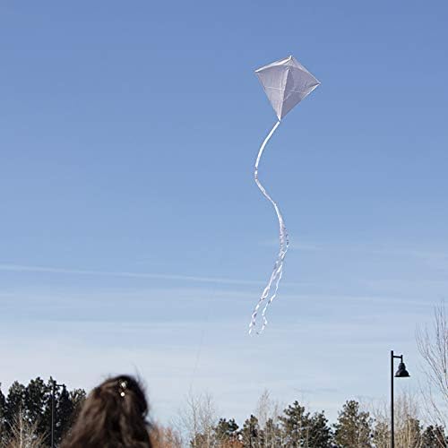Miniatura 3 de In the Breeze 3325 - Cometa de diamante de coco de 30 pulgadas, color blanco sólido, divertida y fácil de volar