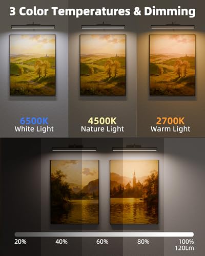 Image of EZVALO Picture Lights for Wall, 16in Rechargeable 6000mAh Battery Operated Painting Lights with Remote, Wireless Wall Light for Gallery, Living Room, Hallway (Black)