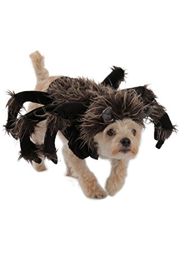 Princess Paradise Tarantula Dog Costume, Black, Small