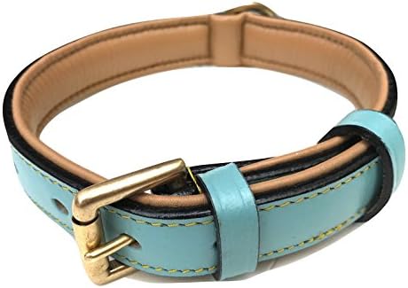 Soft Touch Collars Leather Dog Collar Padded, Turquoise with Beige Padding, Medium Size