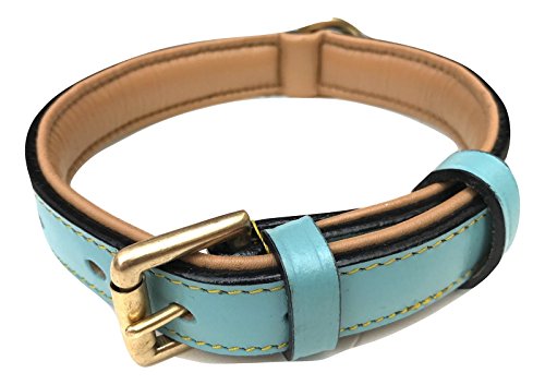 Leather Dog Collar Padded, Turquoise with Beige Padding, Medium S...