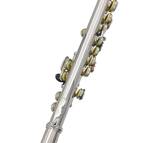 Eryue Piccolo Ottavino Half-Size Flute Silver Plated C Key Cupronickel With Cleaning Cloth Screwdriver Padded Box #TOP6