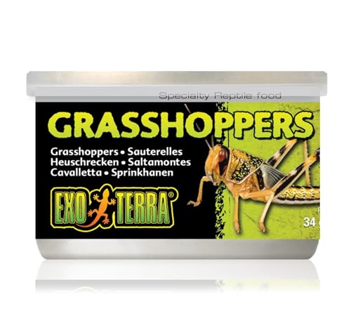 Exo Terra Specialty Alimento para Reptiles